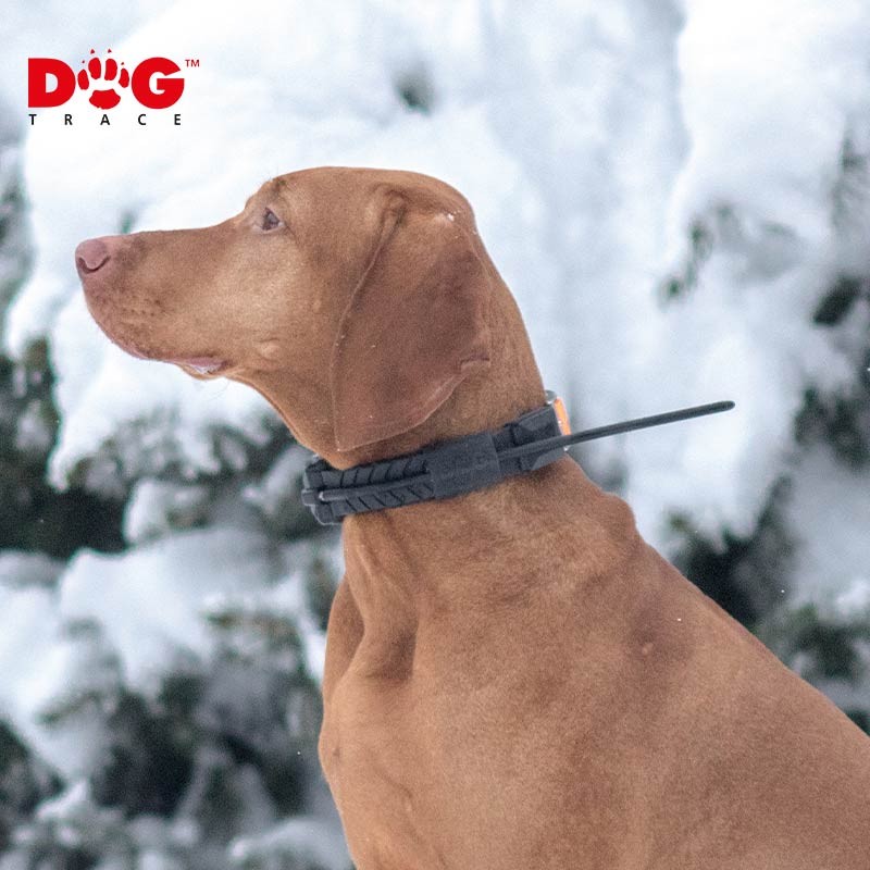 Collier GPS supplémentaire DOGtrace X20+ SHORT, petit tour de cou photo 3
