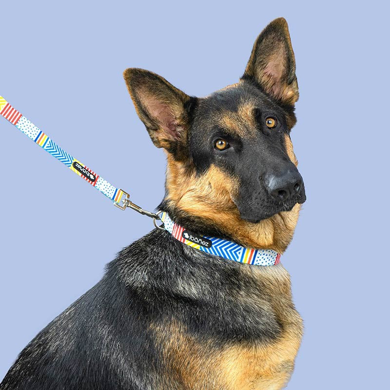 Collier nylon Ibáñez Fantasy Geo et Plumes pour chien photo 5