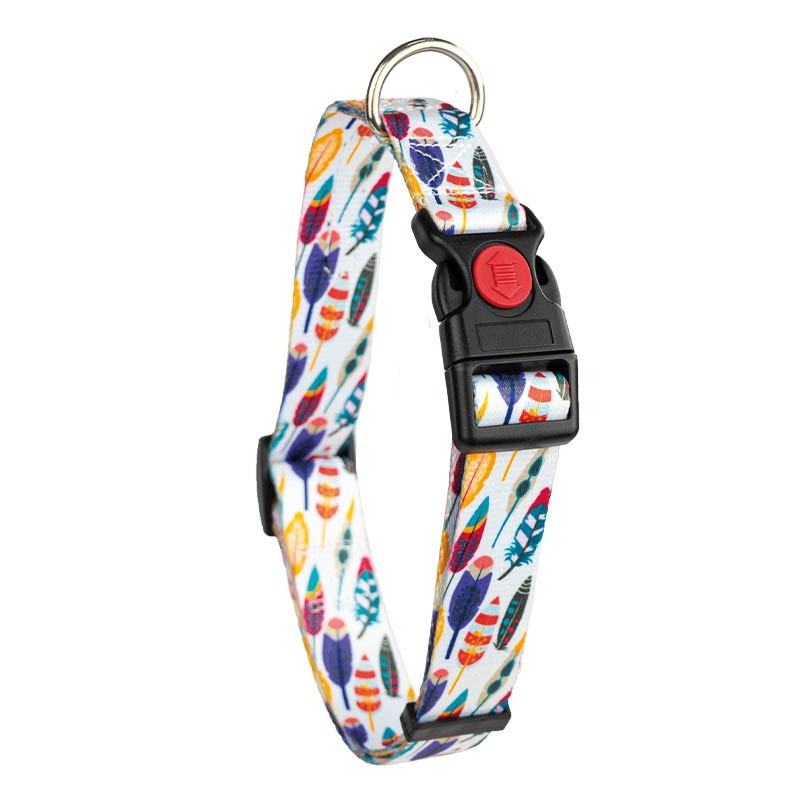 Collier nylon Ibáñez Fantasy Geo et Plumes pour chien