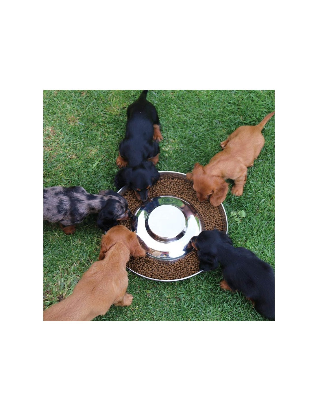 Gamelle Spéciale Pour Chiots Avec Îlot Central – photo 2