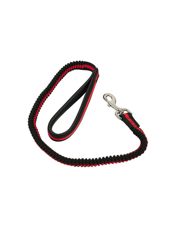 Laisse amortissante Ibáñez Bungee