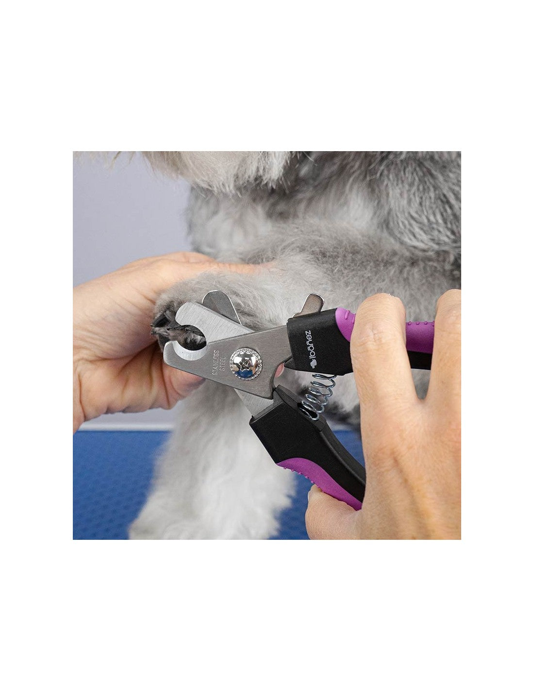 Coupe Ongles (plusieurs tailles) – photo 16