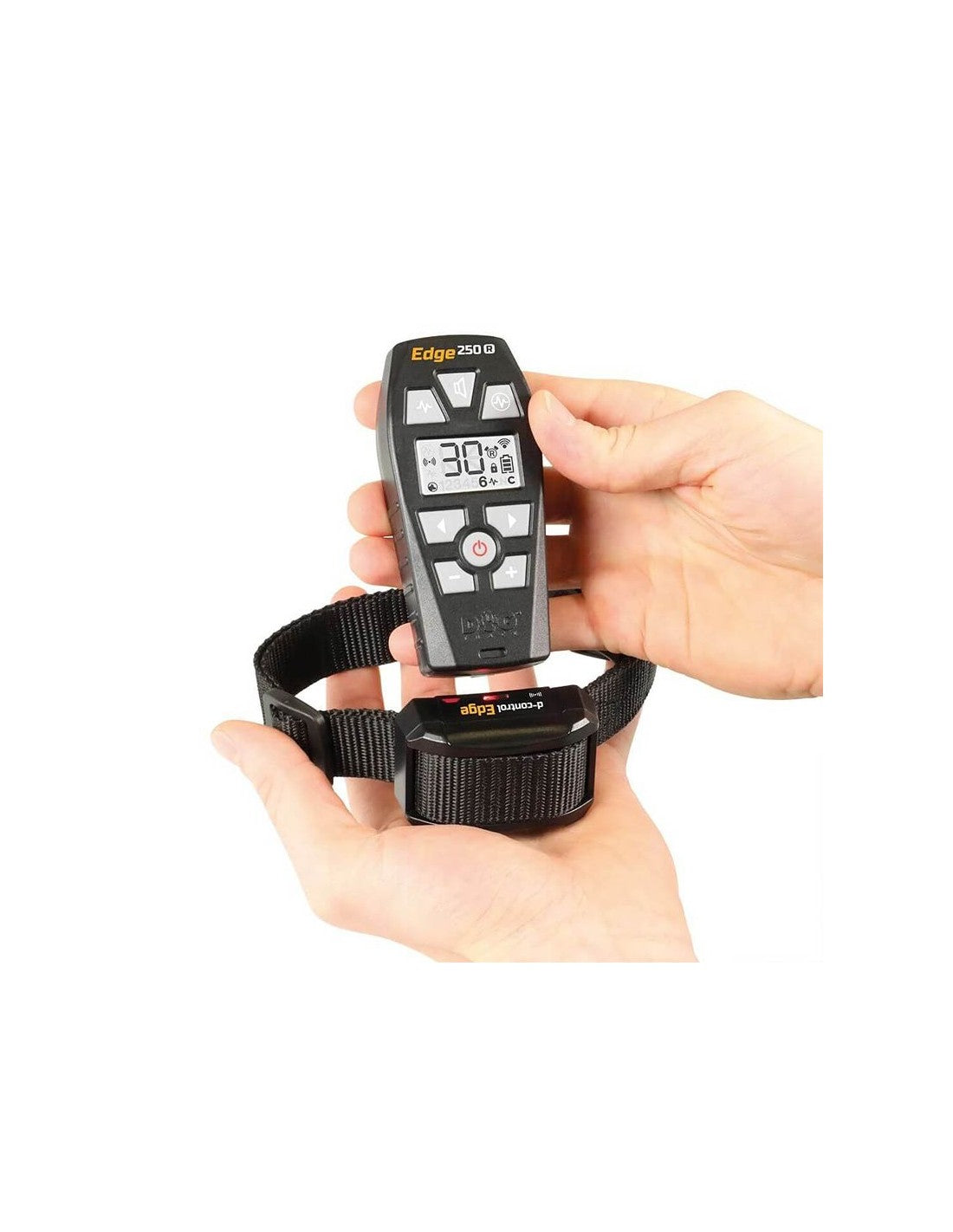Collier de dressage DogTrace d-control EDGE RING