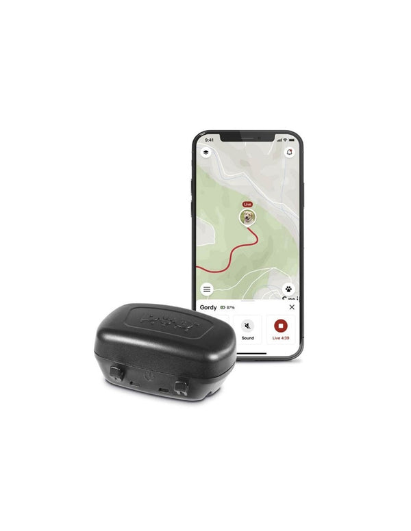 Traceur GPS DogTrace GPS mini – chien et chat