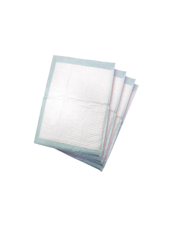 Alèses éducatives jetables Pads