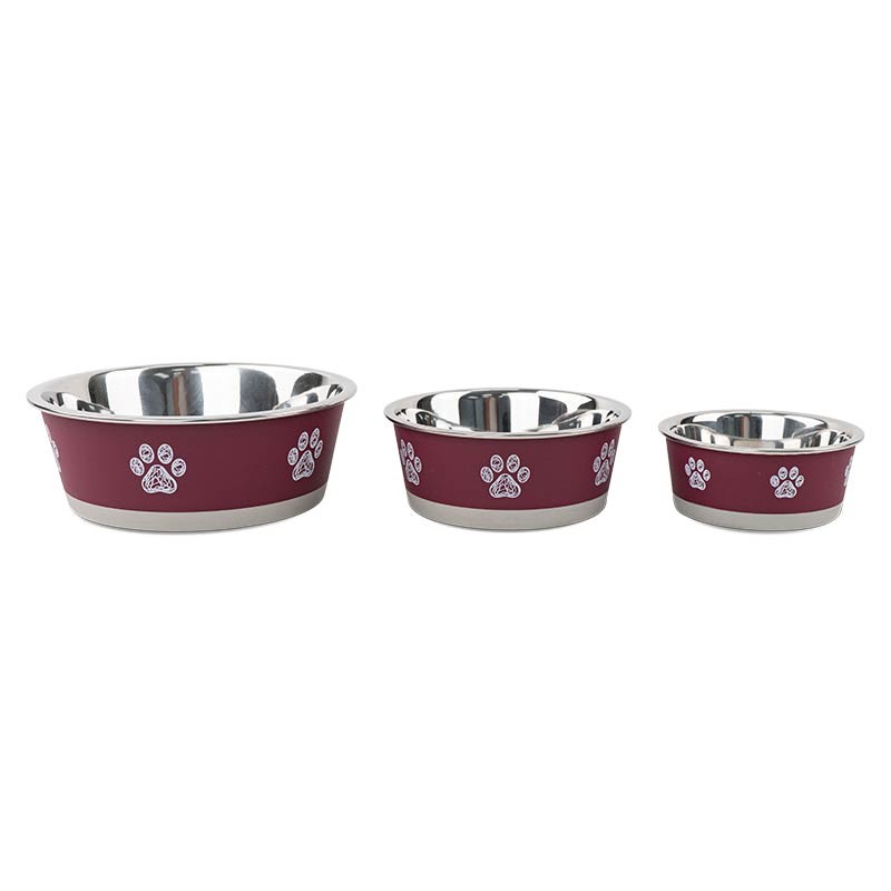 Gamelle inox Ibáñez Wild antidérapante, motif pattes photo 5