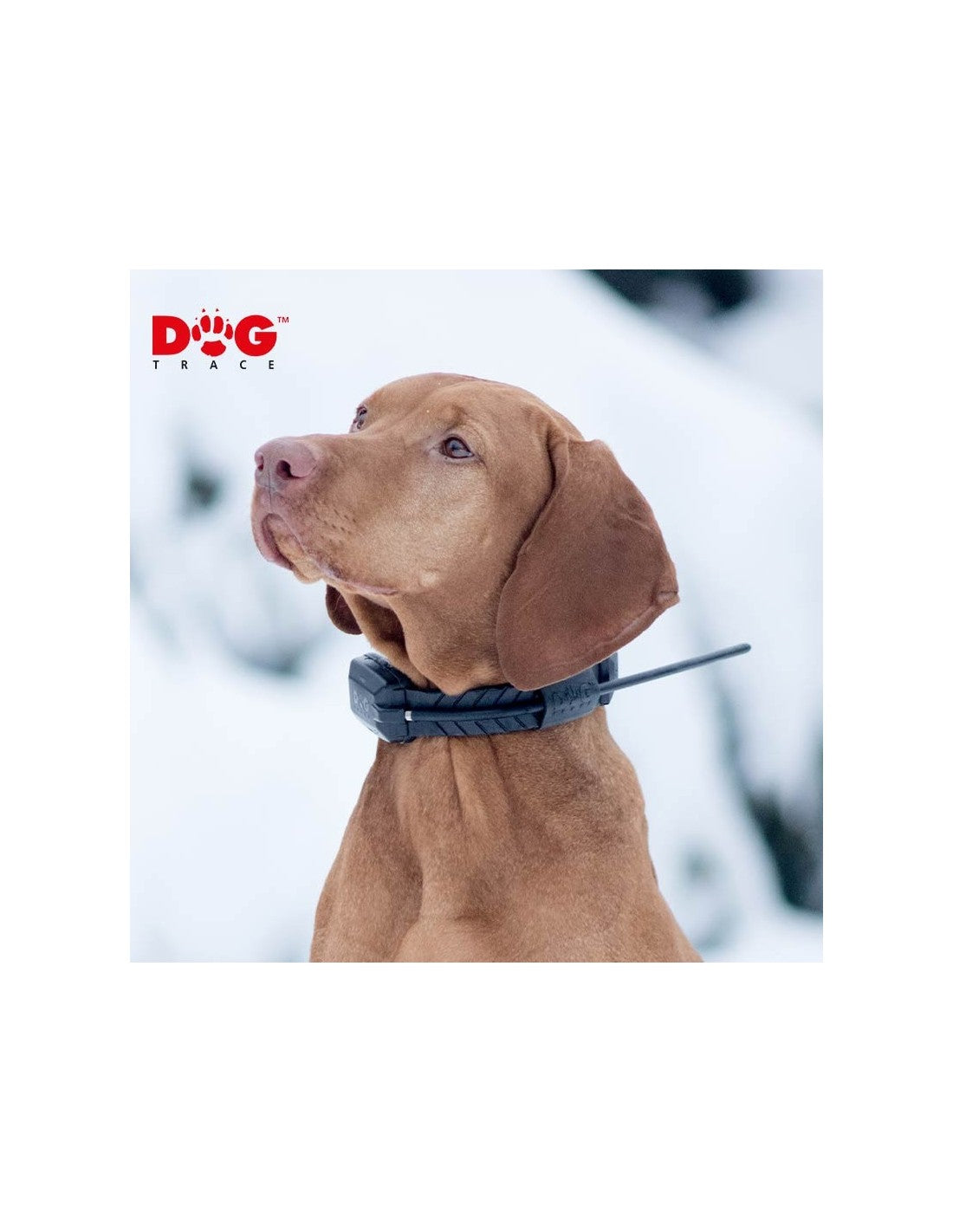 Dogtrace X20 Orange Gps Tracking System ( Control Collar Charger) – photo 2