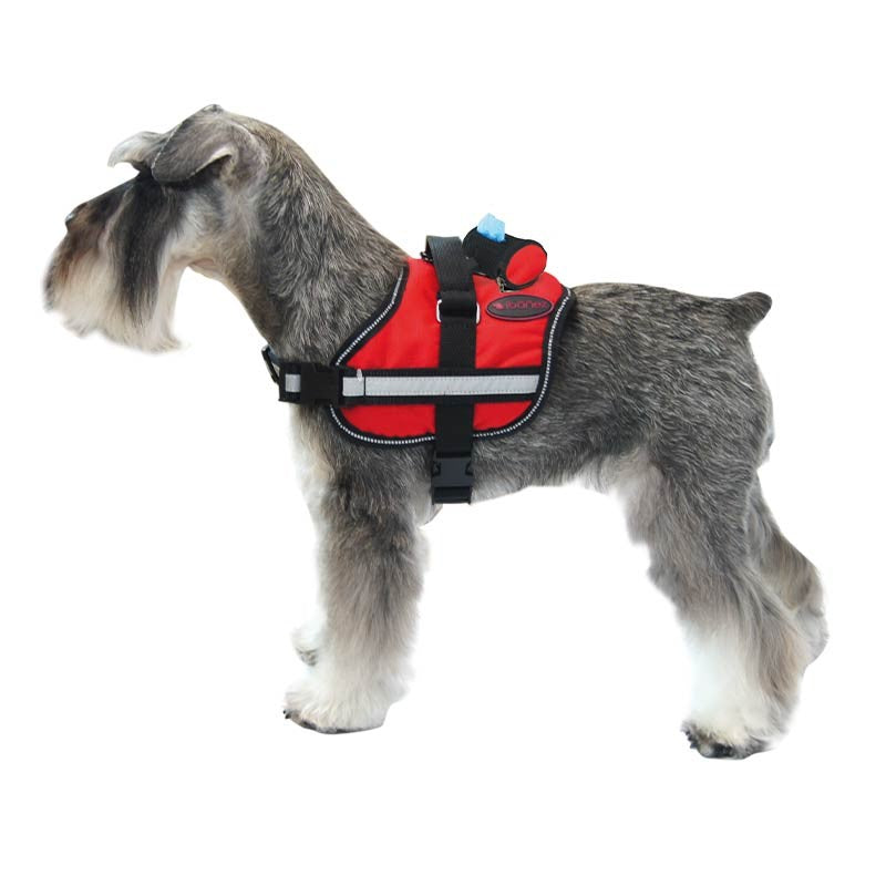 Harnais Active rembourré et réfléchissant pour chien moyen et grand photo 10