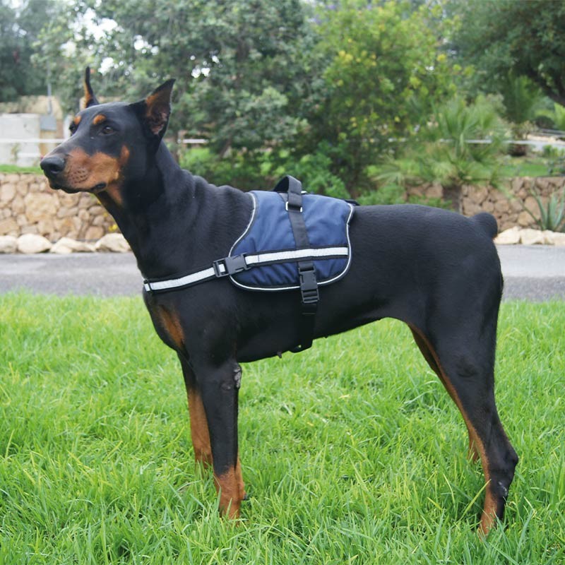 Harnais Active rembourré et réfléchissant pour chien moyen et grand photo 2