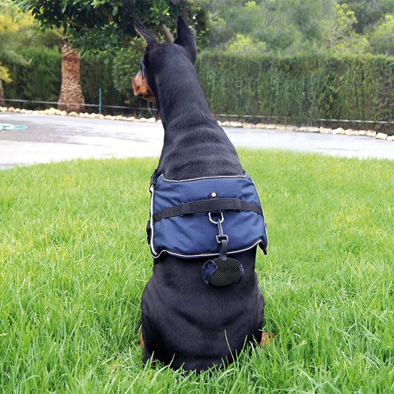 Harnais Active rembourré et réfléchissant pour chien moyen et grand photo 3