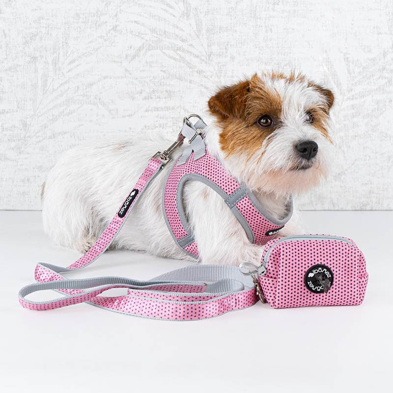 Harnais rembourré Ibáñez Glam Mosaic pour petit chien photo 8