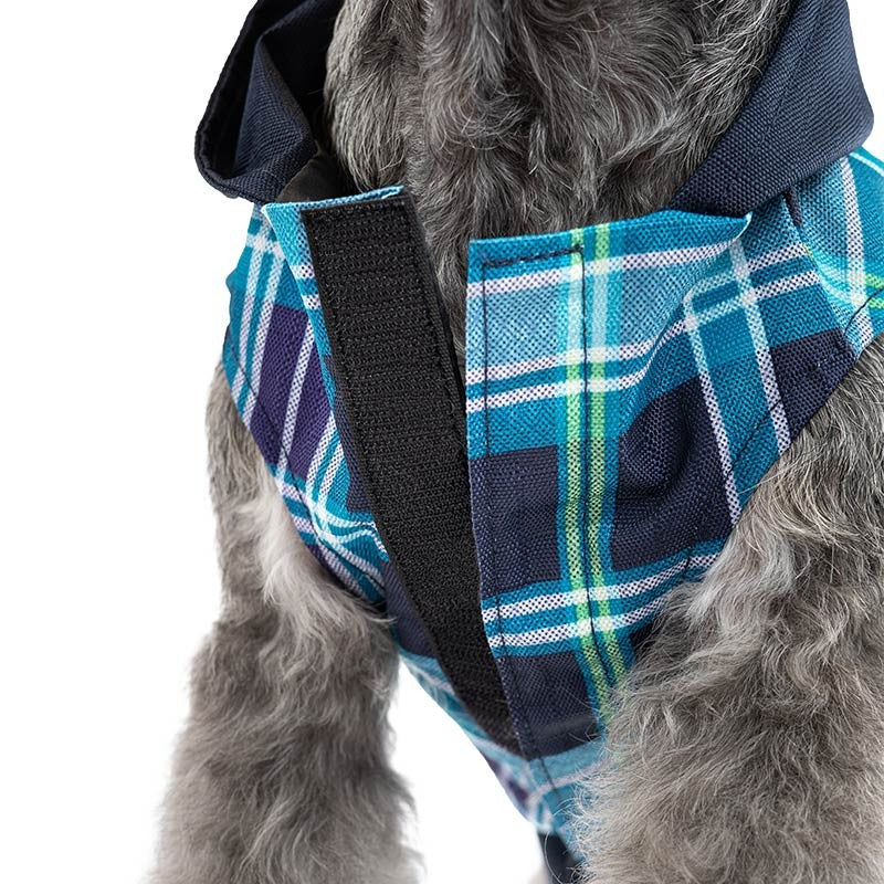 Imperméable à capuche bleu ciel à carreaux pour chien photo 3