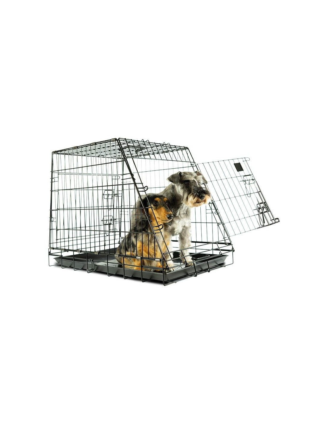 Cage pour VOITURE – photo 5