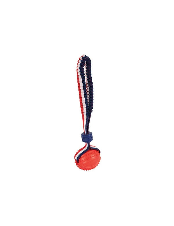 Balle avec lanceur élastique ludique