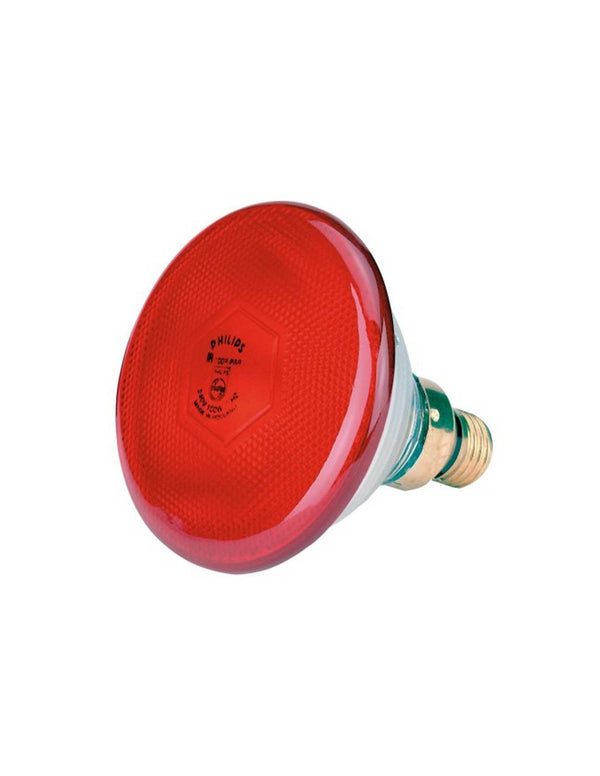 Lampe Infrarouge pour portée 175w. Economie d'Energie
