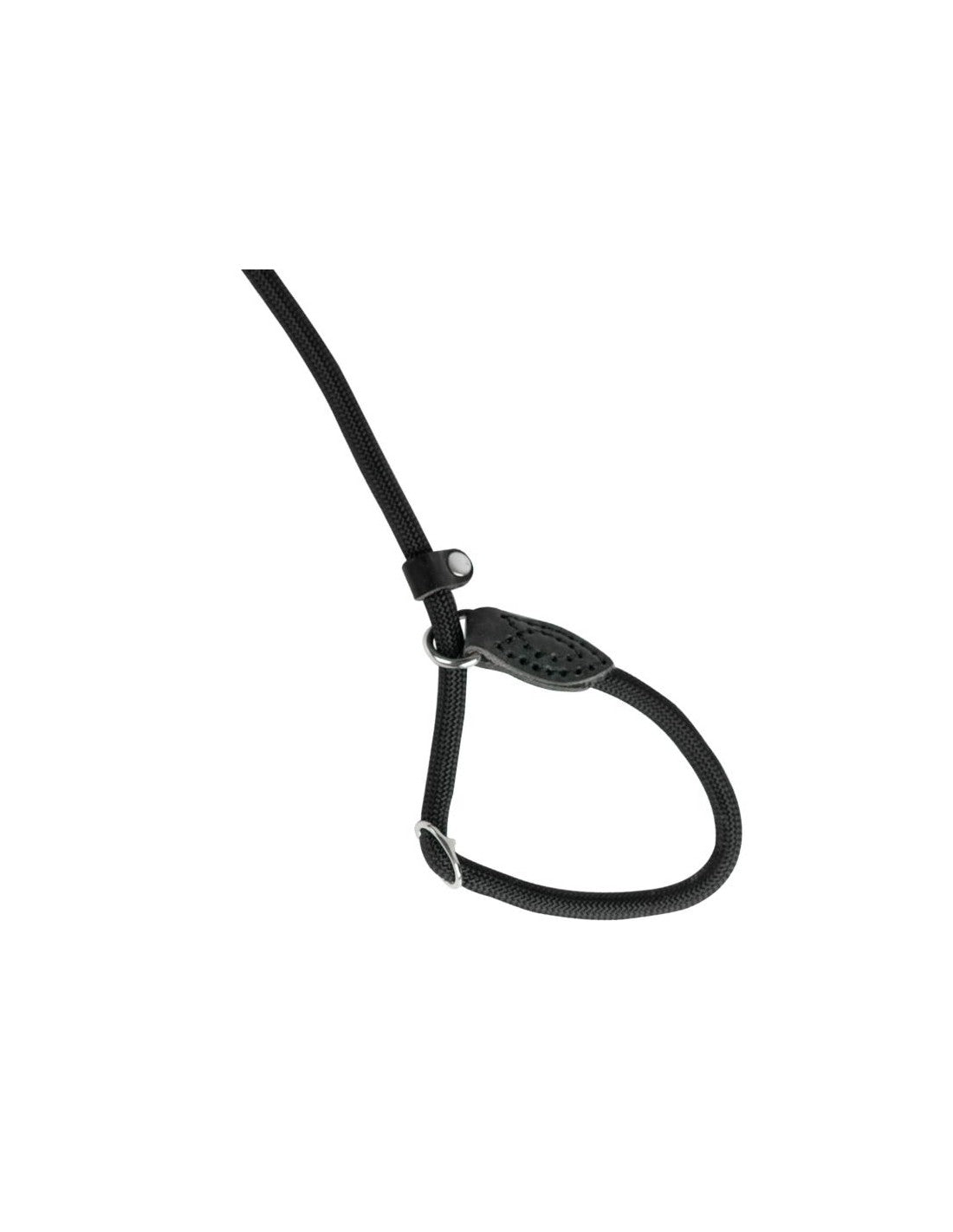 Laisse lasso noire 165 cm – photo 2