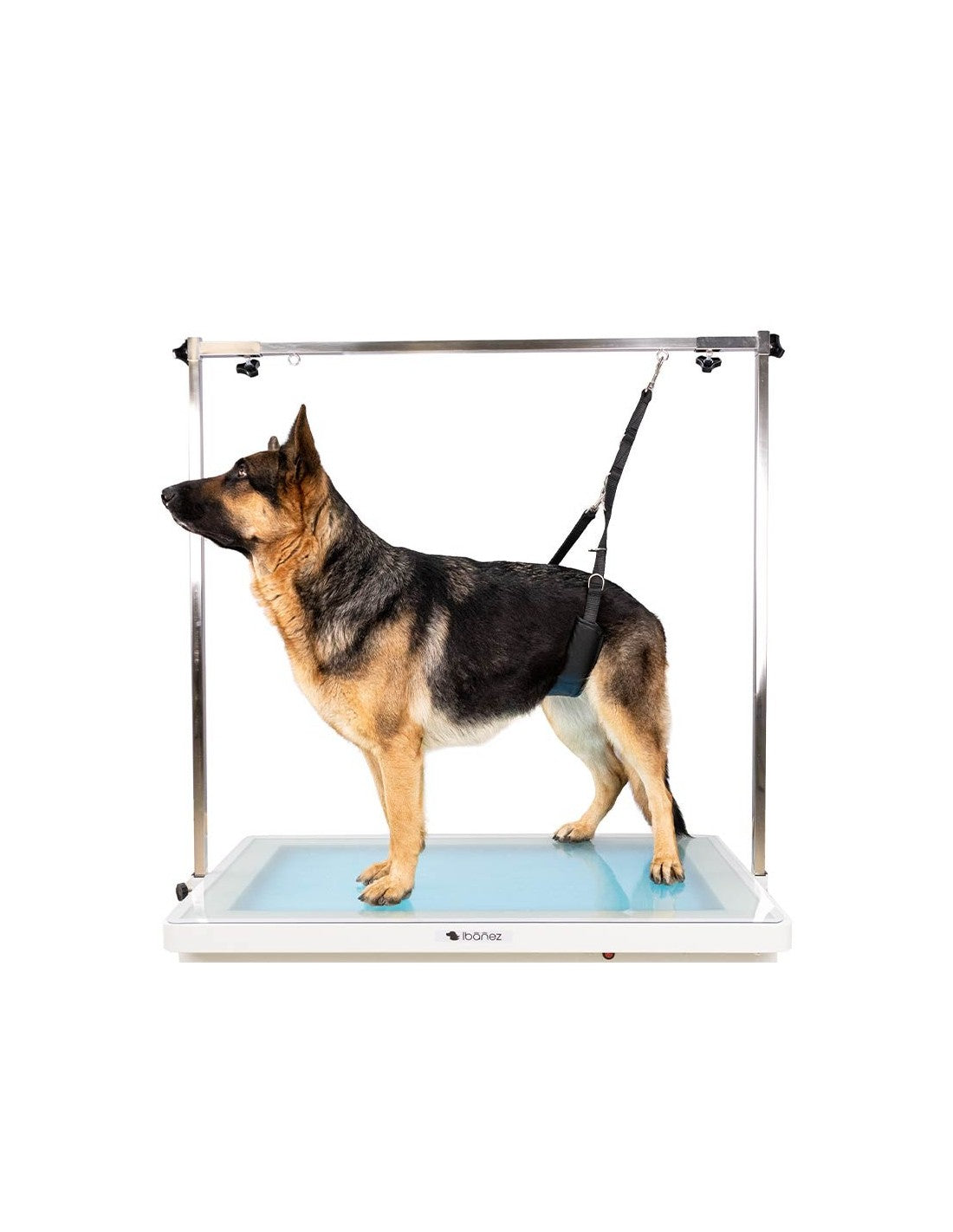 Ceinture Ventrale pour Chien toilettage - Accroche potence – photo 7