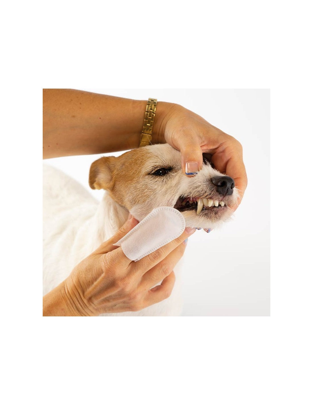 Hygiène dentaire lingettes – photo 4