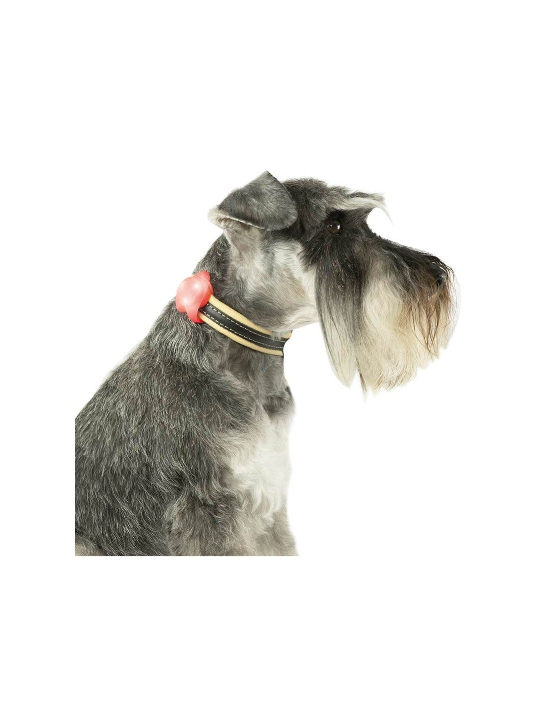 Jeu chien Lumineux à LED dans une enveloppe Silicone très agréable – photo 2