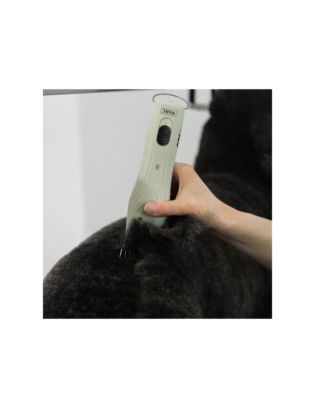 Tondeuse Wahl KMC+ brushless – sur batterie et secteur
