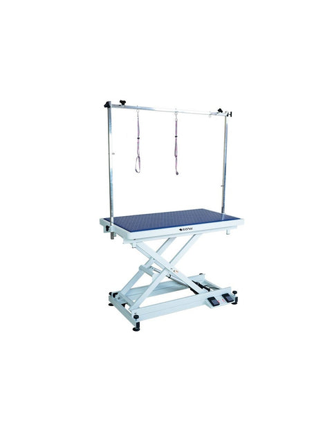 Table électrique Praktica (Hauteur : 101cm - Plateau : 110x59cm) avec roulettes