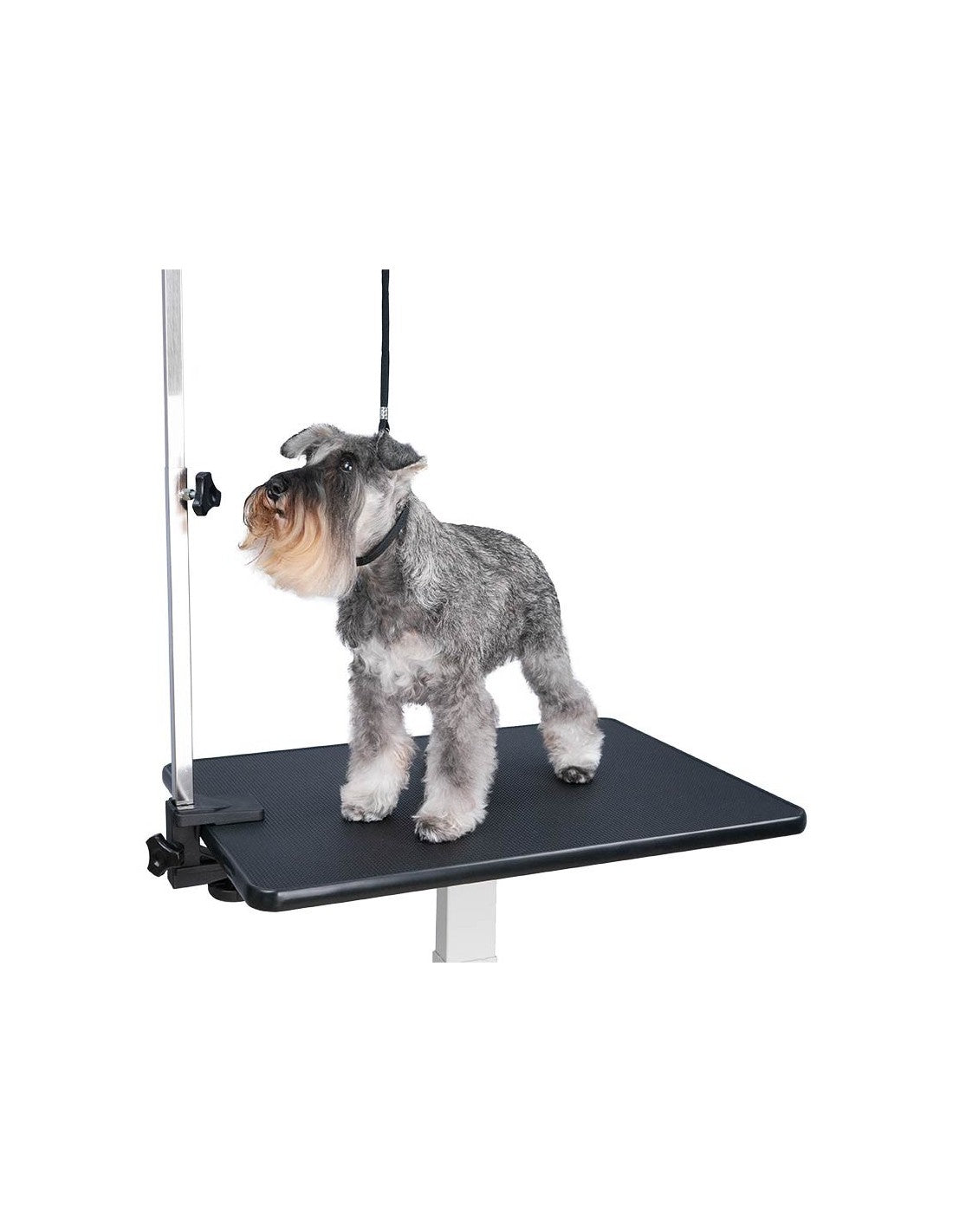 Table de Toilettage Pneumatique Stabila (70 x 48cm) – photo 6