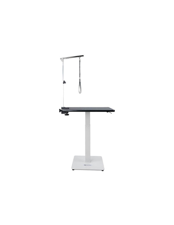 Table de Toilettage Pneumatique Stabila (70 x 48cm)