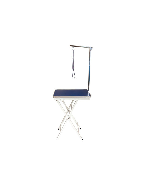 Table Pliable et Transportable avec Potence