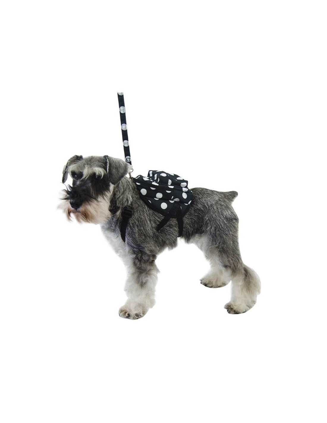 Harnais sac à dos à pois pour petits chiens – photo 10