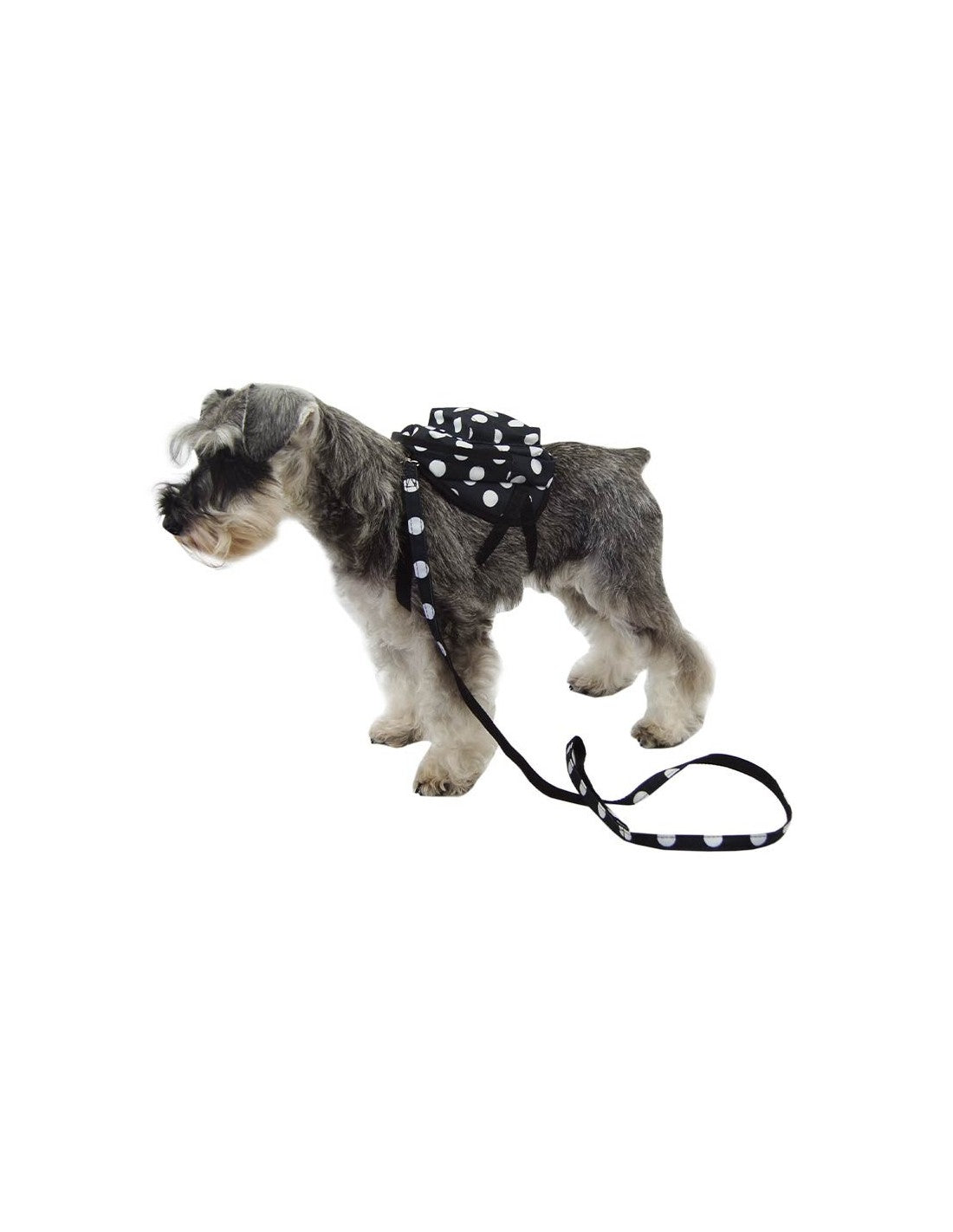 Harnais sac à dos à pois pour petits chiens – photo 11