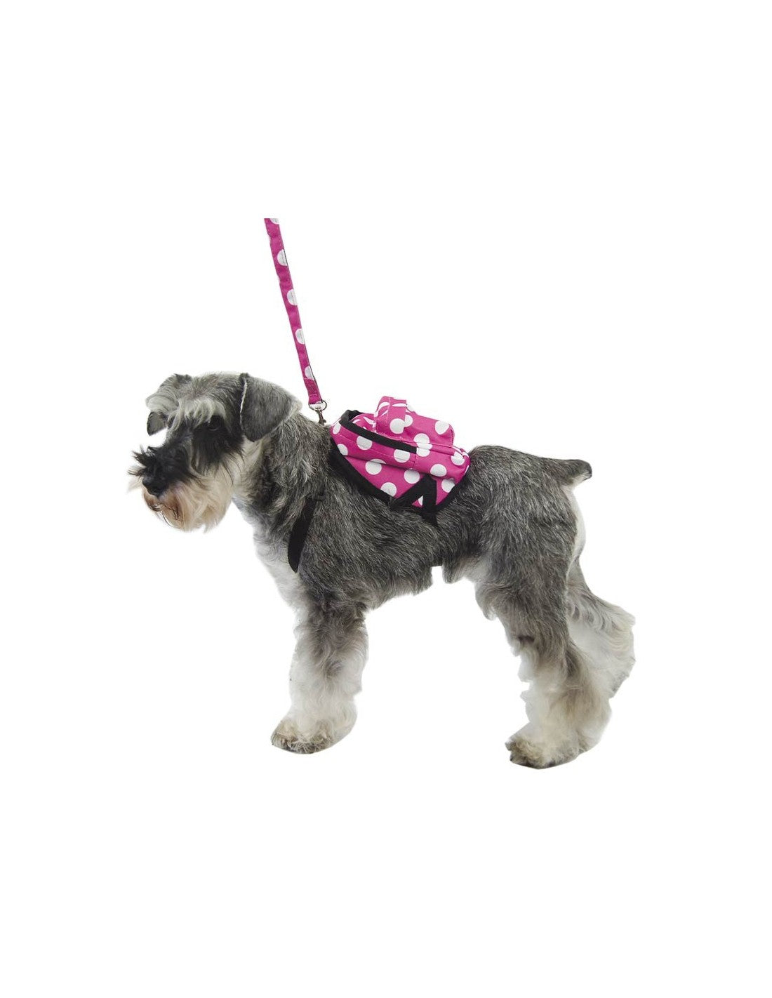Harnais sac à dos à pois pour petits chiens – photo 4