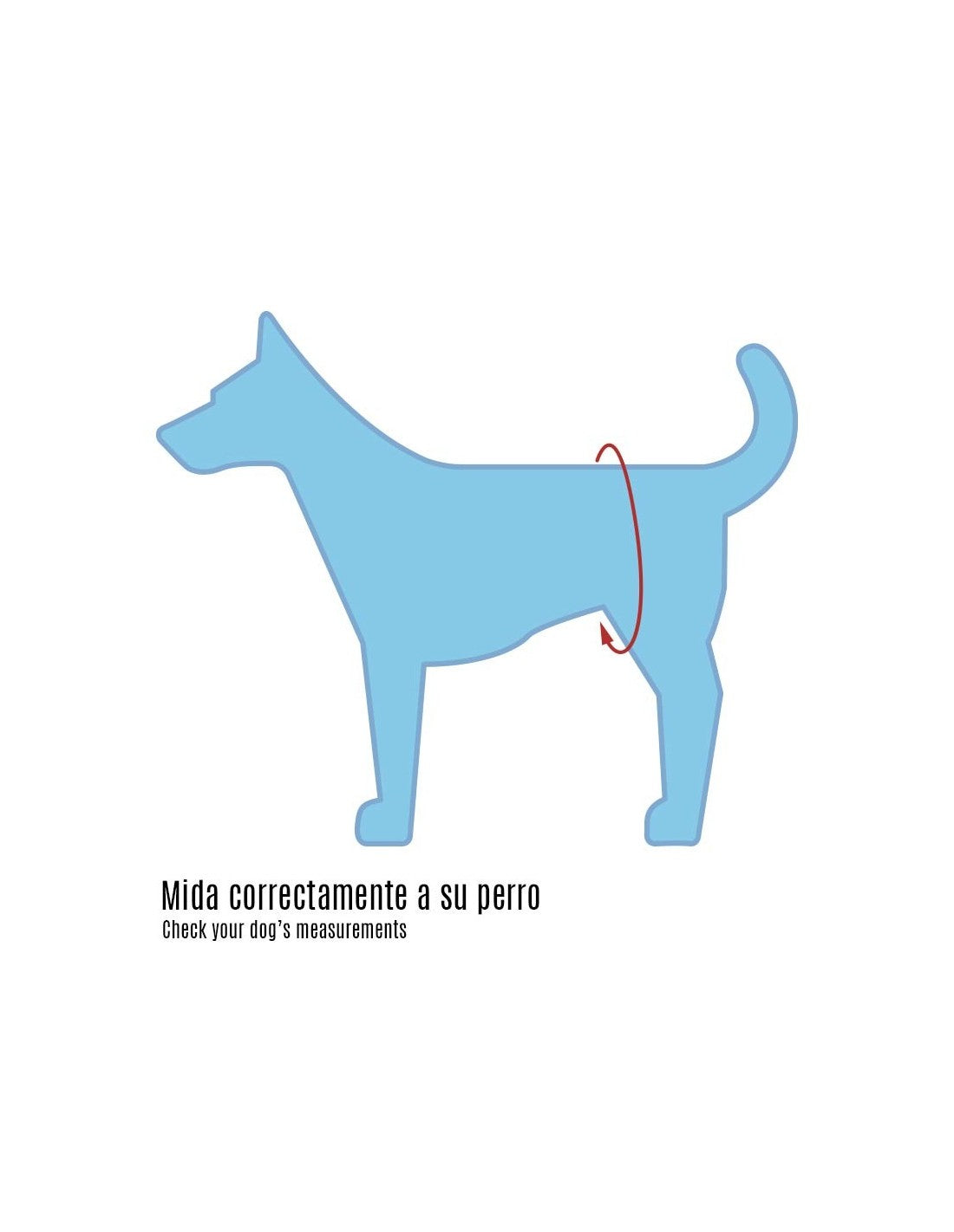 Ceintures de propreté jetables chien mâle (x12) – photo 5