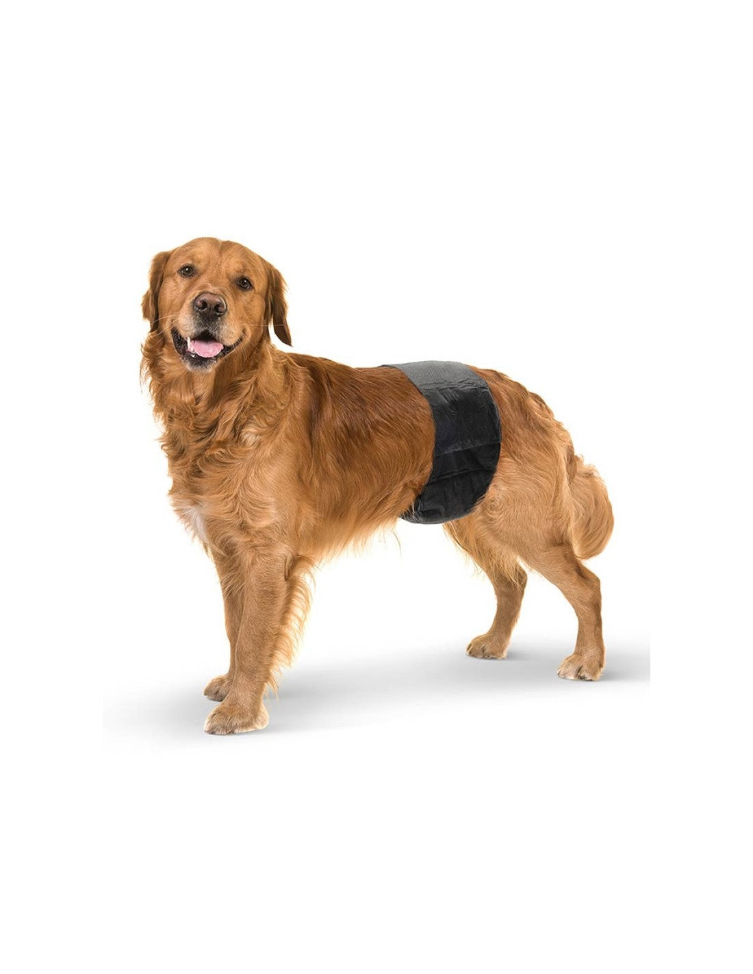 Ceintures de propreté jetables chien mâle (x12) – photo 6
