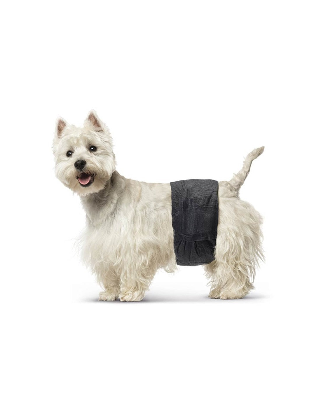 Ceintures de propreté jetables chien mâle (x12) – photo 7