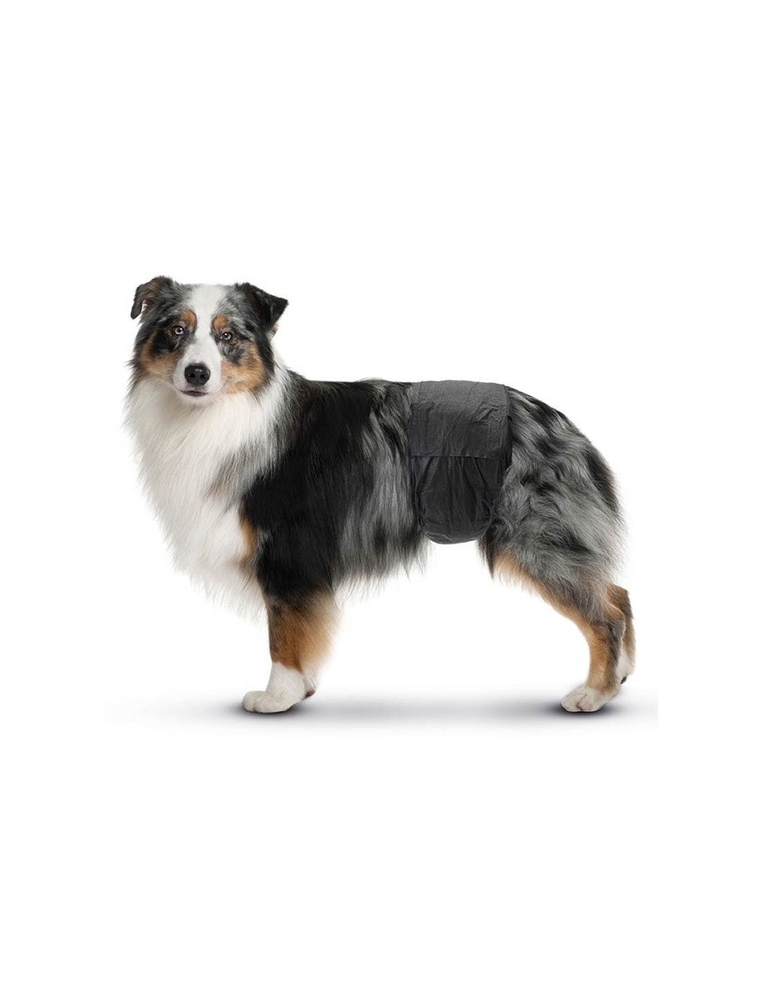 Ceintures de propreté jetables chien mâle (x12) – photo 9