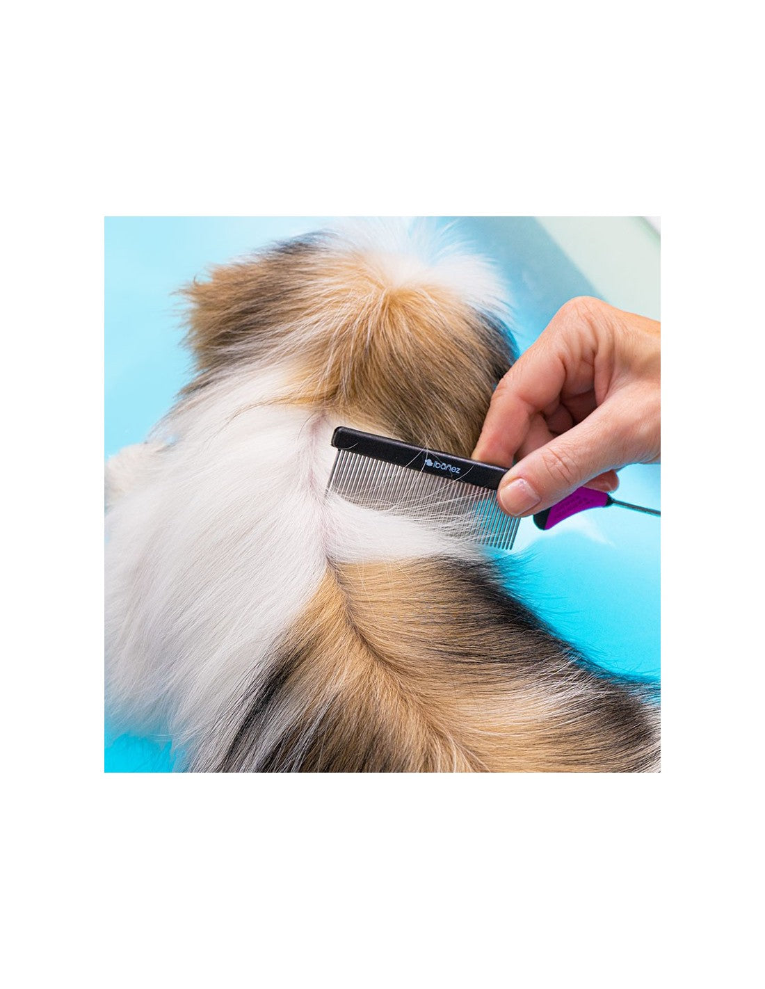 Peigne à queue spécial Top Knot & Raies - Toilettage Chien – photo 2