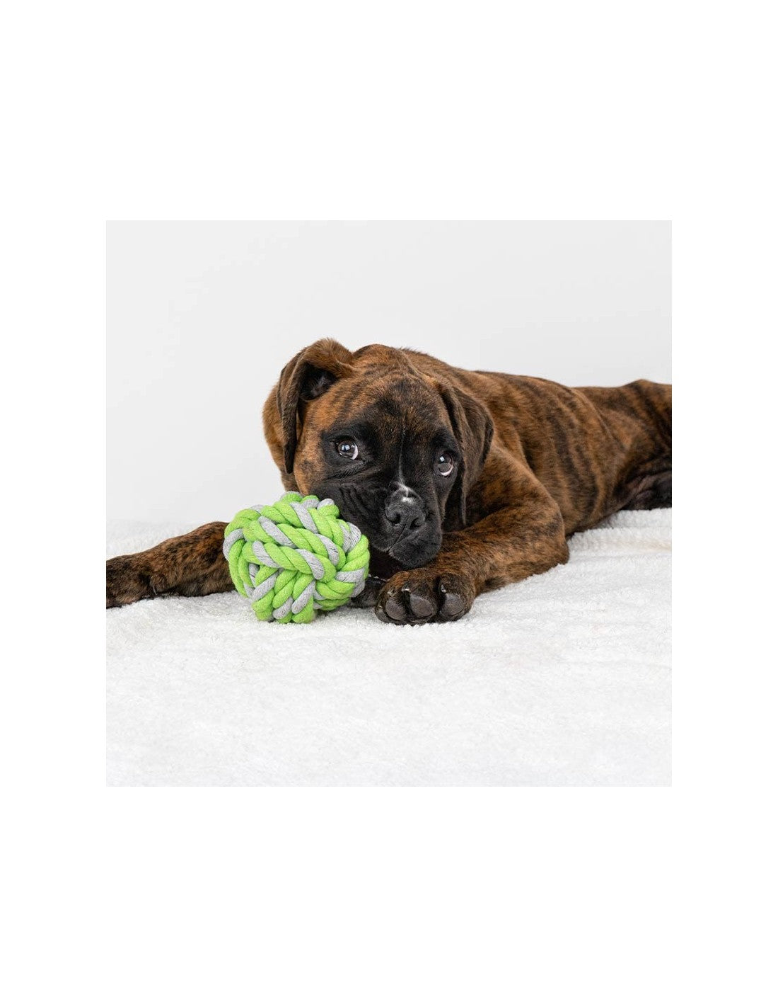 Balle en corde nouée Menta Ibáñez pour chien Ø 8,5 cm photo 2