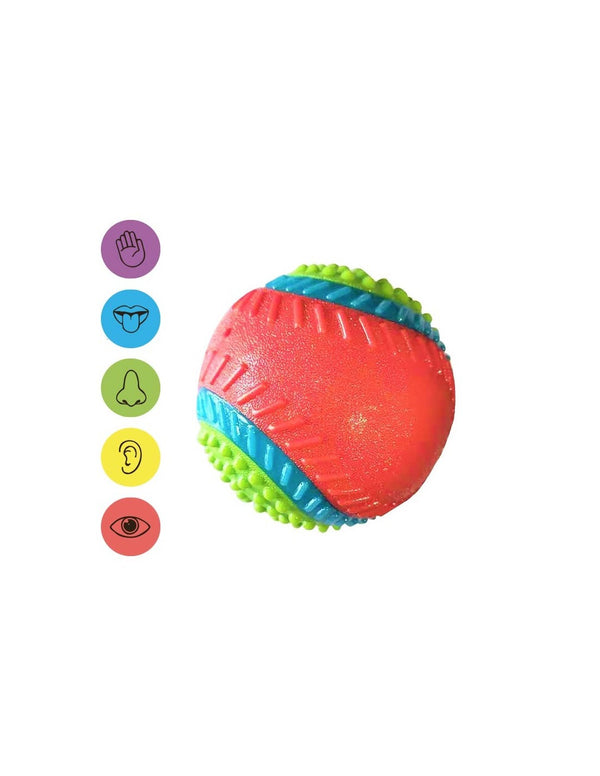 Balle 5 sens Ibáñez pour chien, son, odeur et textures Ø 8 cm