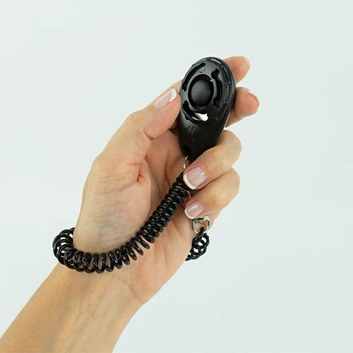 Clicker for Dog - Educação e Treinamento
