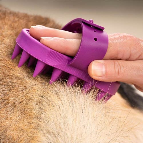 Brosse en Caoutchouc Renforcée pour Chiens