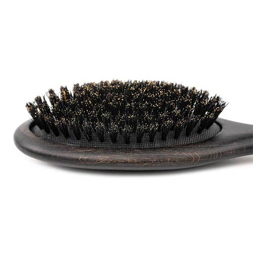 Brosse pour Chien en Soies Naturelles Ibáñez