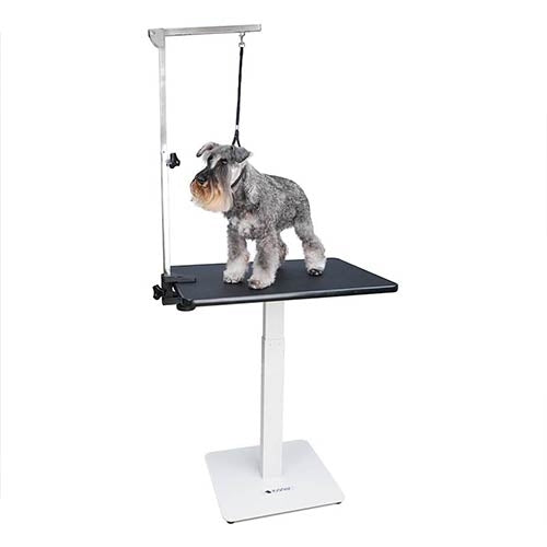 Table de Toilettage Pneumatique Stabila (70 x 48cm)