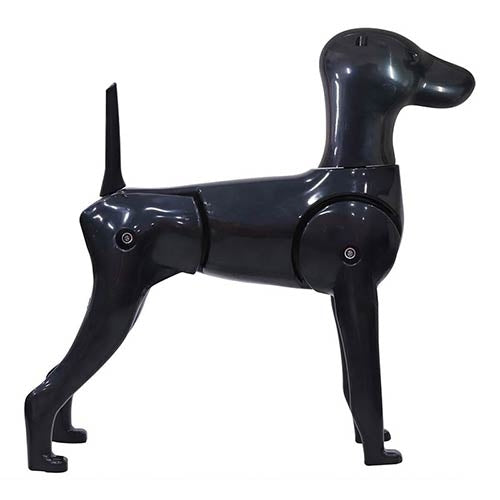 Kit Mannequin Model Dog (Caniche, Schnauzer, Asian Style)
