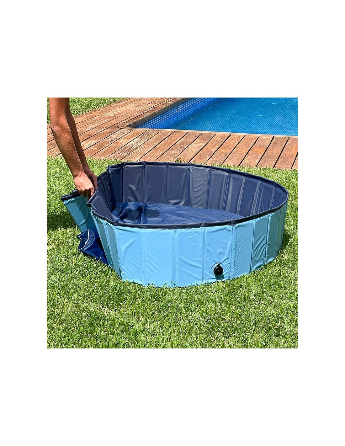 Piscine pour chien (3 tailles au choix) – photo 7