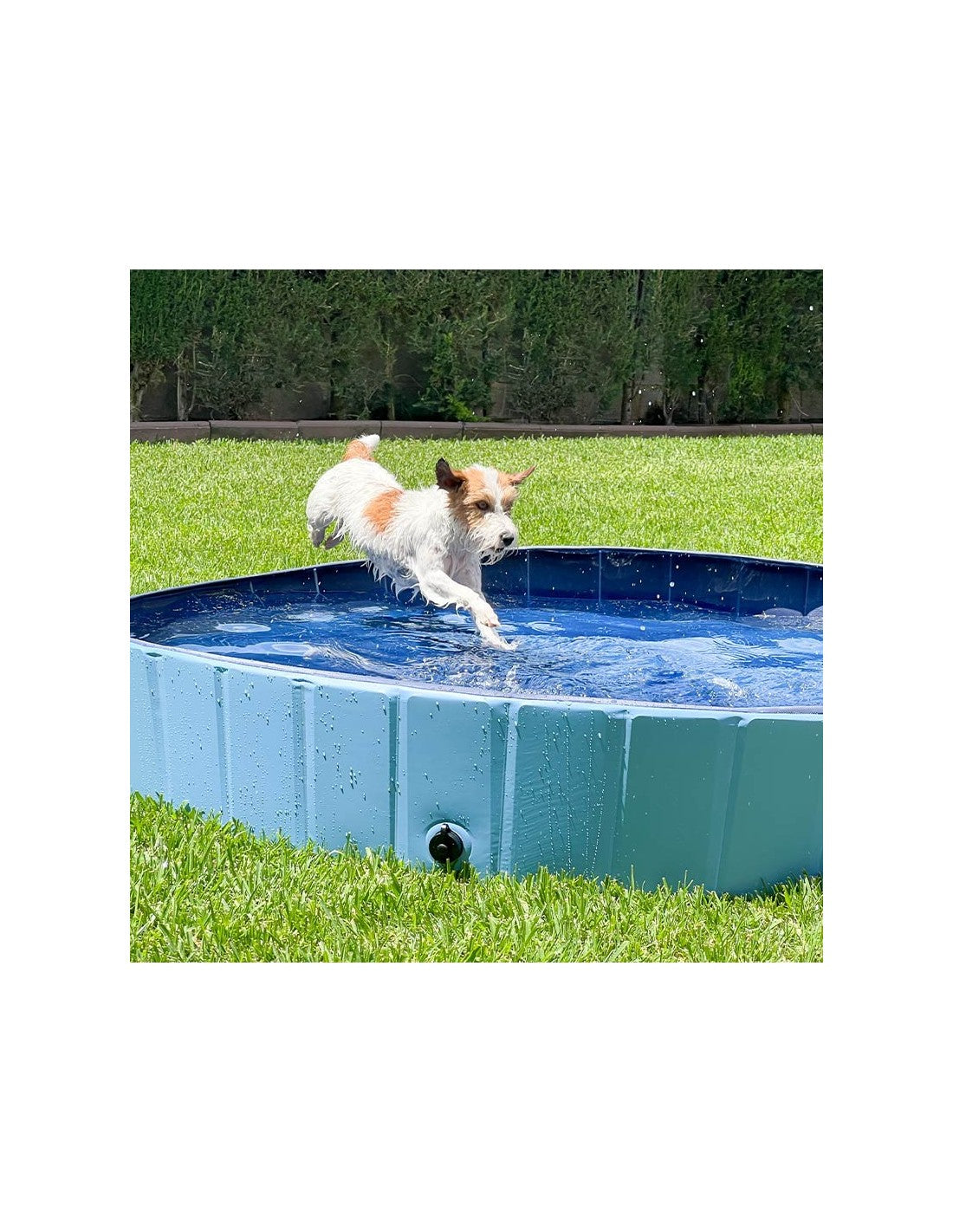 Piscine pour chien (3 tailles au choix)