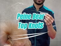 Vidéo de présentation : peigne à top-knot Artero Bear