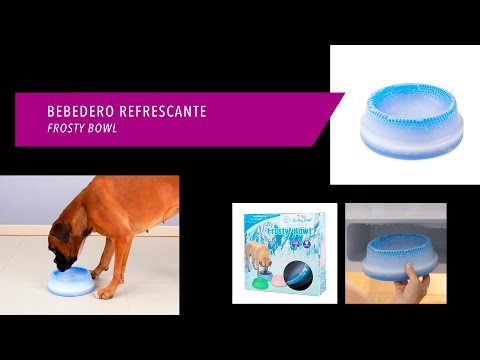 Vidéo de présentation Gamelle Rafraichissante pour Chien - Maintient l'eau fraiche
