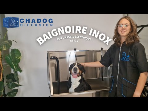 Vidéo de présentation : baignoire inox électrique Phoenix Universal