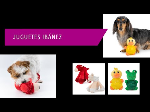 Vidéo de présentation Peluche balle Ibáñez canard ou grenouille, jouet sonore 16 x 9 cm