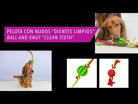 Vidéo de présentation Balle à nœuds Ibáñez nettoie-dents parfum menthe pour chien